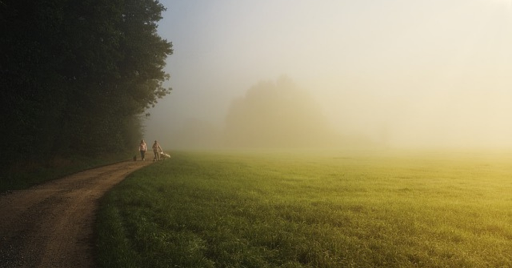 Škola Malého stromu